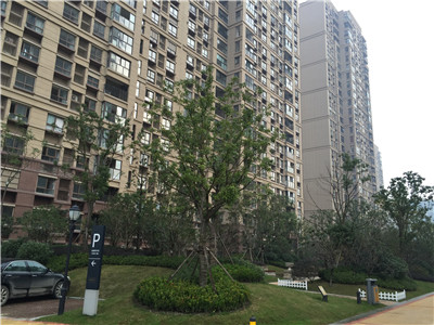 ���Ѕ^ ����Ӻ�A����Ӻ�л��@��