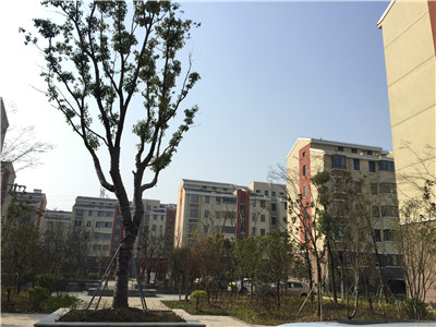 ���Ѕ^(q��) ���|�Ŵ�B�^(q��)