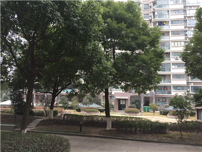 �@�^ ������Ԣ